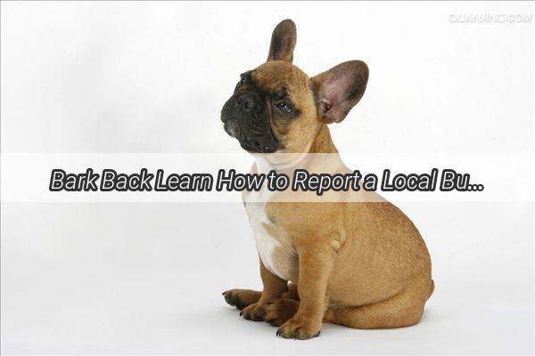 Bark Back Learn How to Report a Local Businesss Unleashed Canine Menace Today